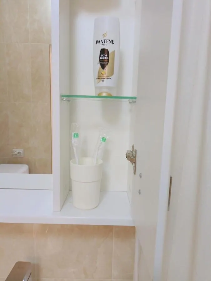 1-Но Комнатные Апартаменты В Жк Promenade Expo Nur-Sultan  Apartment